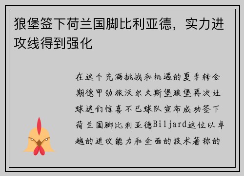 狼堡签下荷兰国脚比利亚德，实力进攻线得到强化